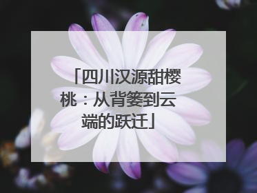 四川汉源甜樱桃：从背篓到云端的跃迁