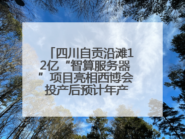 四川自贡沿滩12亿“智算服务器”项目亮相西博会 投产后预计年产值达15亿元