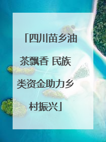 四川苗乡油茶飘香 民族类资金助力乡村振兴