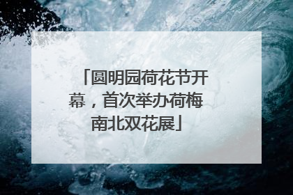 圆明园荷花节开幕，首次举办荷梅南北双花展