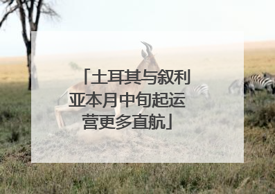 土耳其与叙利亚本月中旬起运营更多直航