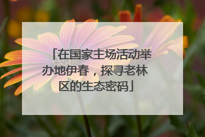在国家主场活动举办地伊春，探寻老林区的生态密码