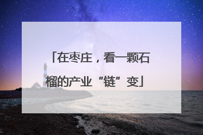 在枣庄，看一颗石榴的产业“链”变