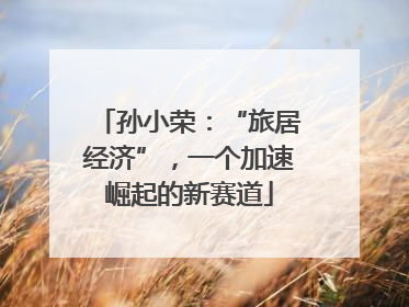 孙小荣：“旅居经济”，一个加速崛起的新赛道