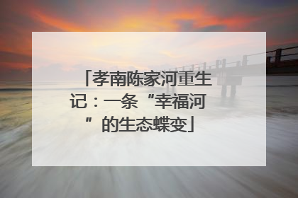 孝南陈家河重生记：一条“幸福河”的生态蝶变