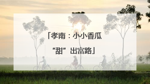 孝南：小小香瓜 “甜”出富路