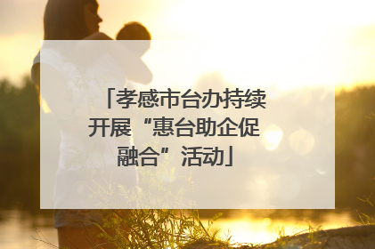 孝感市台办持续开展“惠台助企促融合”活动