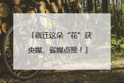 宿迁这朵“花”获央媒、省媒点赞！