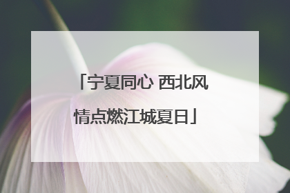宁夏同心 西北风情点燃江城夏日