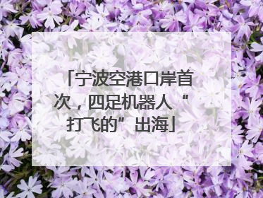 宁波空港口岸首次，四足机器人“打飞的”出海
