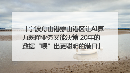 宁波舟山港穿山港区让AI算力既懂业务又能决策 20年的数据“喂”出更聪明的港口