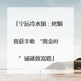 宁远冷水镇：烤烟喜获丰收 “黄金叶”铺就致富路
