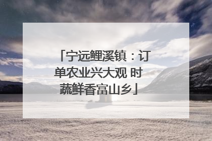 宁远鲤溪镇：订单农业兴大观 时蔬鲜香富山乡