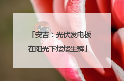 安吉：光伏发电板在阳光下熠熠生辉