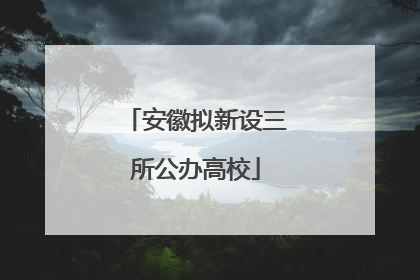 安徽拟新设三所公办高校
