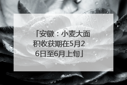 安徽：小麦大面积收获期在5月26日至6月上旬