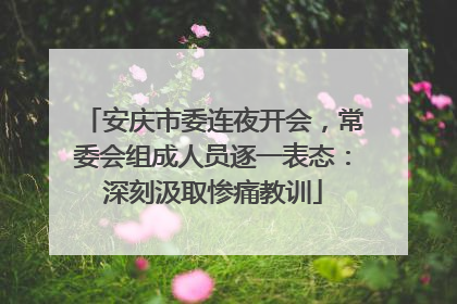 安庆市委连夜开会，常委会组成人员逐一表态：深刻汲取惨痛教训