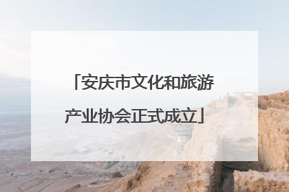 安庆市文化和旅游产业协会正式成立