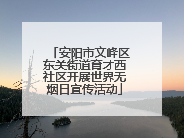 安阳市文峰区东关街道育才西社区开展世界无烟日宣传活动