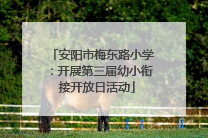 安阳市梅东路小学：开展第三届幼小衔接开放日活动