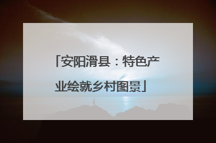 安阳滑县：特色产业绘就乡村图景