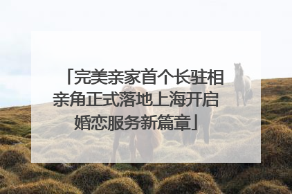 完美亲家首个长驻相亲角正式落地上海开启婚恋服务新篇章