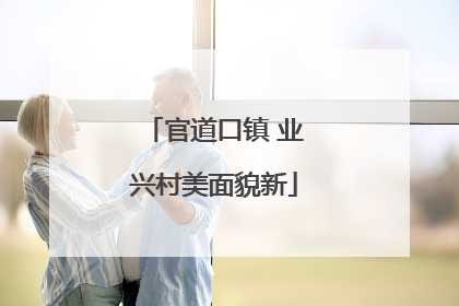 官道口镇 业兴村美面貌新