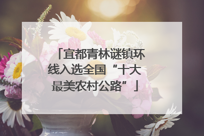 宜都青林谜镇环线入选全国“十大最美农村公路”