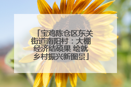 宝鸡陈仓区东关街道南阳村：大棚经济结硕果 绘就乡村振兴新图景