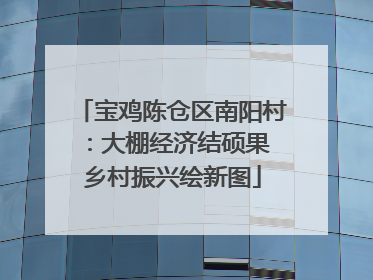 宝鸡陈仓区南阳村：大棚经济结硕果 乡村振兴绘新图