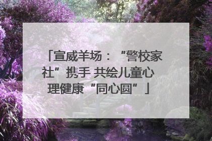 宣威羊场：“警校家社”携手 共绘儿童心理健康“同心圆”