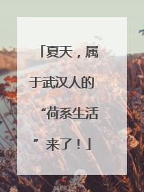 夏天，属于武汉人的“荷系生活”来了！