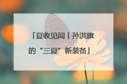 夏收见闻丨孙洪旗的“三夏”新装备
