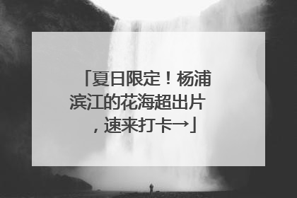 夏日限定！杨浦滨江的花海超出片，速来打卡→