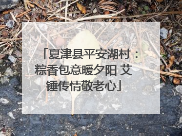 夏津县平安湖村：粽香包意暖夕阳 艾锤传情敬老心