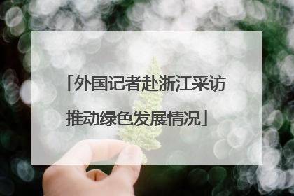 外国记者赴浙江采访推动绿色发展情况