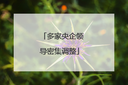 多家央企领导密集调整