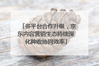 多平台合作升级，京东内容营销生态持续深化种收协同效率