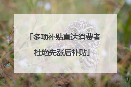 多项补贴直达消费者 杜绝先涨后补贴