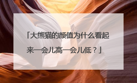 大熊猫的颜值为什么看起来一会儿高一会儿低？