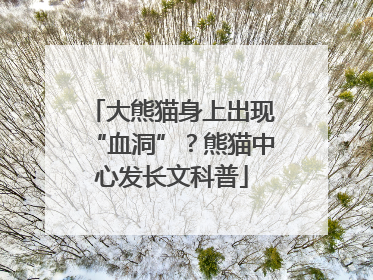 大熊猫身上出现“血洞”？熊猫中心发长文科普