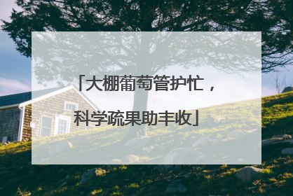 大棚葡萄管护忙，科学疏果助丰收