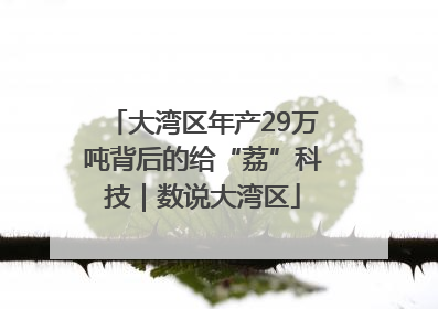 大湾区年产29万吨背后的给“荔”科技｜数说大湾区
