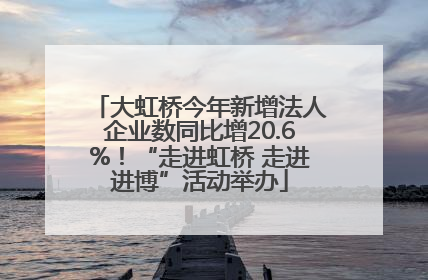 大虹桥今年新增法人企业数同比增20.6%！“走进虹桥 走进进博”活动举办