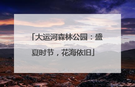 大运河森林公园：盛夏时节，花海依旧