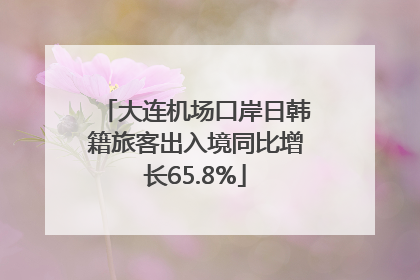 大连机场口岸日韩籍旅客出入境同比增长65.8%