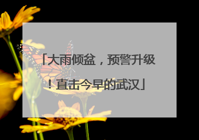 大雨倾盆，预警升级！直击今早的武汉