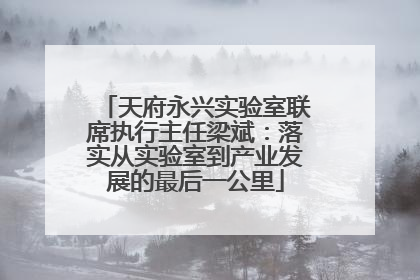 天府永兴实验室联席执行主任梁斌：落实从实验室到产业发展的最后一公里