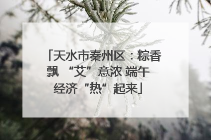 天水市秦州区：粽香飘 “艾”意浓 端午经济“热”起来