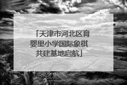 天津市河北区育婴里小学国际象棋共建基地启航